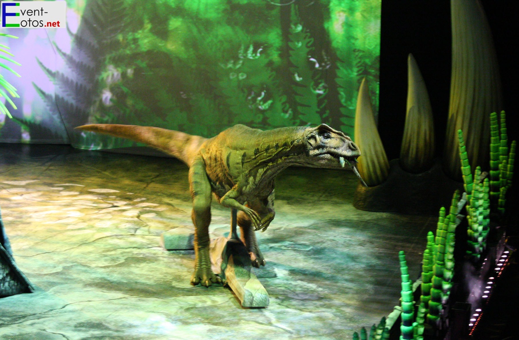 Allosaurus
