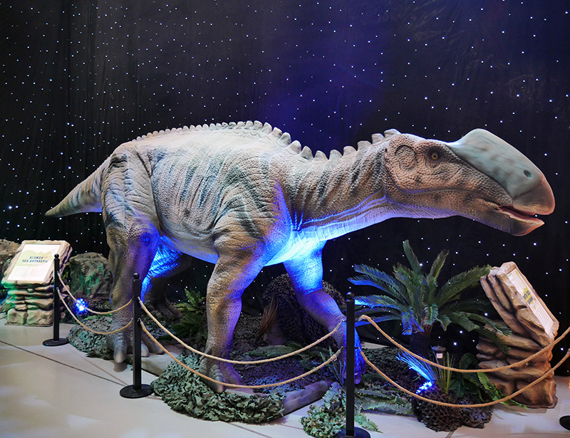 Gryptosaurus
