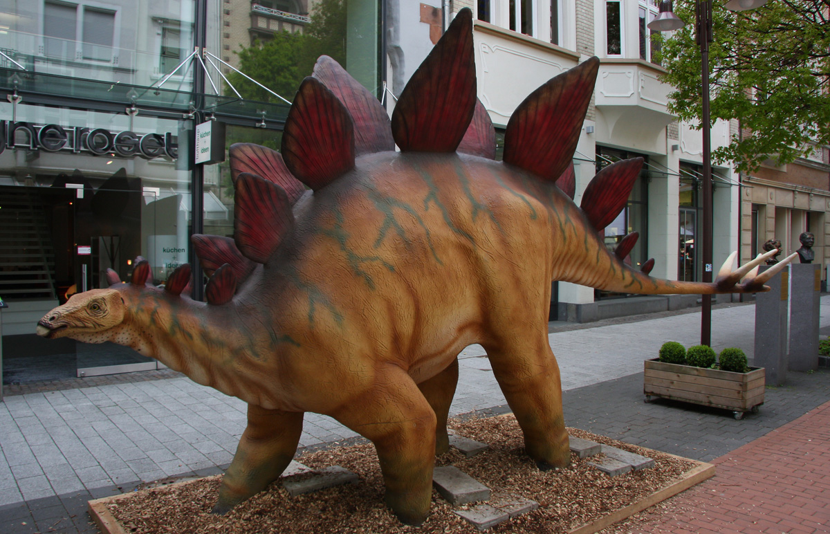 Stegosaurus
