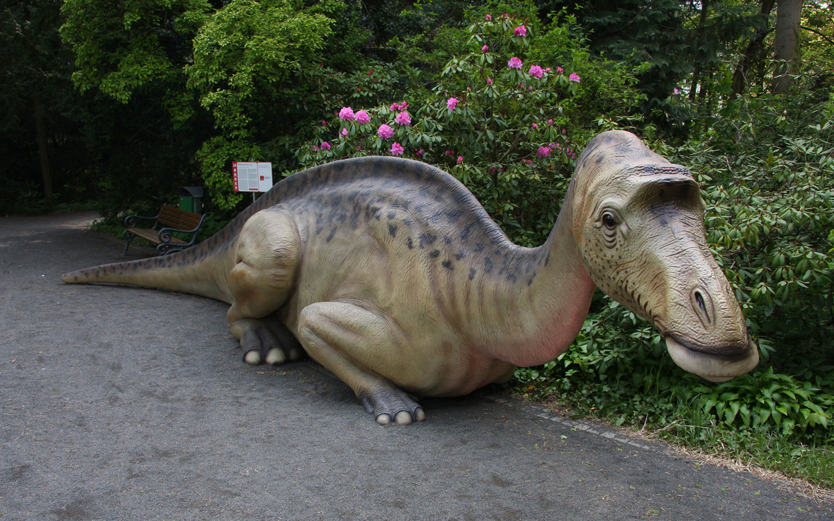 Maiasaurus
