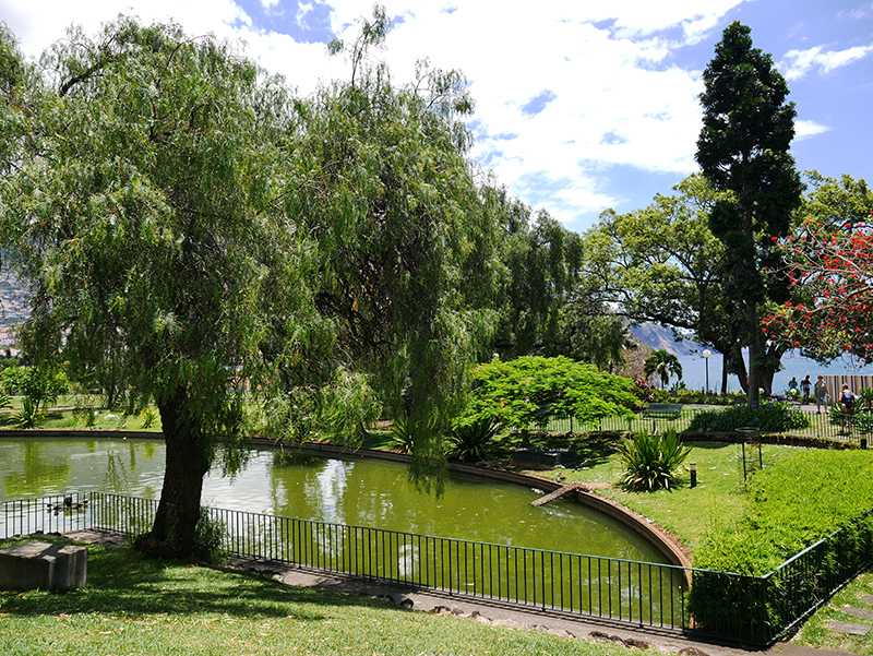 Santa Catarina Park, Funchal
