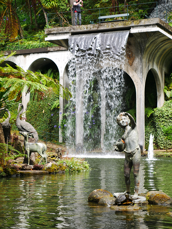 Im tropischen Garten "Jardim Tropical Monte Palace"
